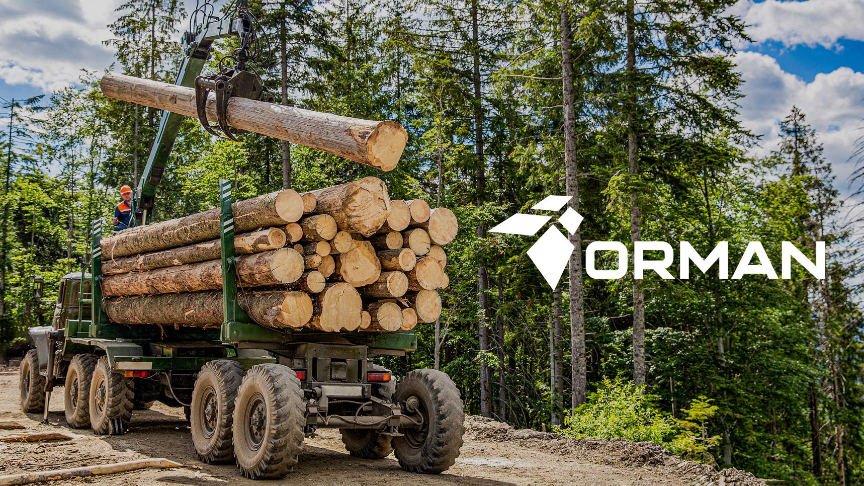 Дизайн логотипа компании по продаже круглого леса