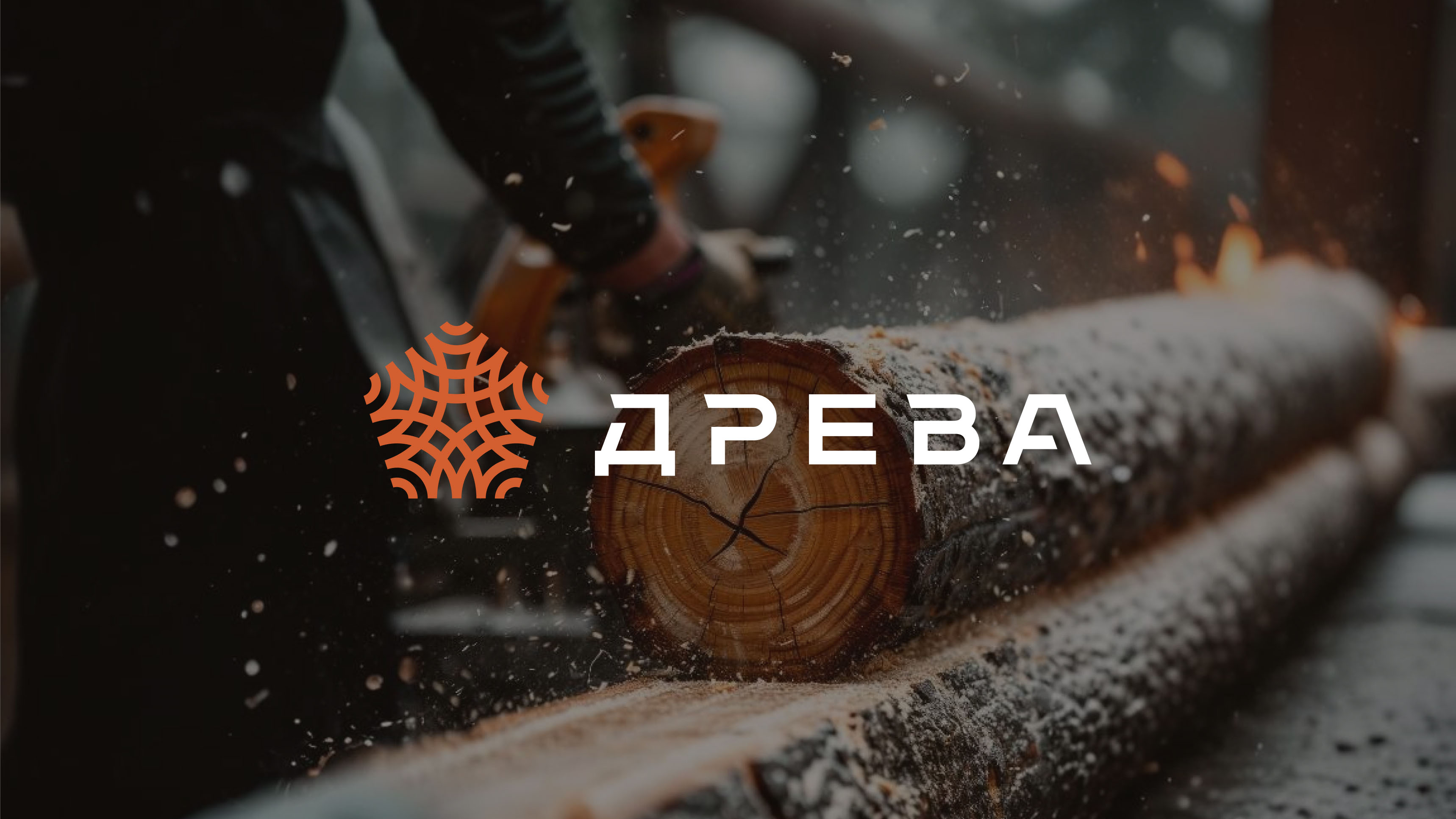 Разработка логотипа компании по переработке древесины