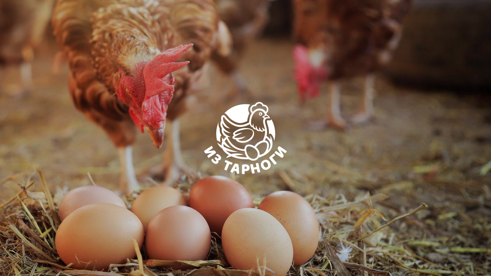 Дизайн логотипа для крестьянско-фермерского хозяйства