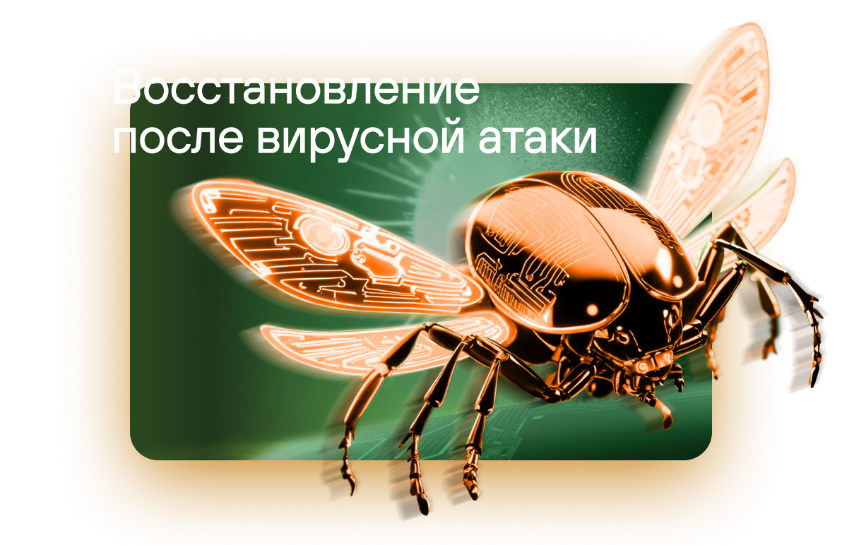 Кейс: Восстановление позиций сайта в поисковой выдаче после вирусной атаки