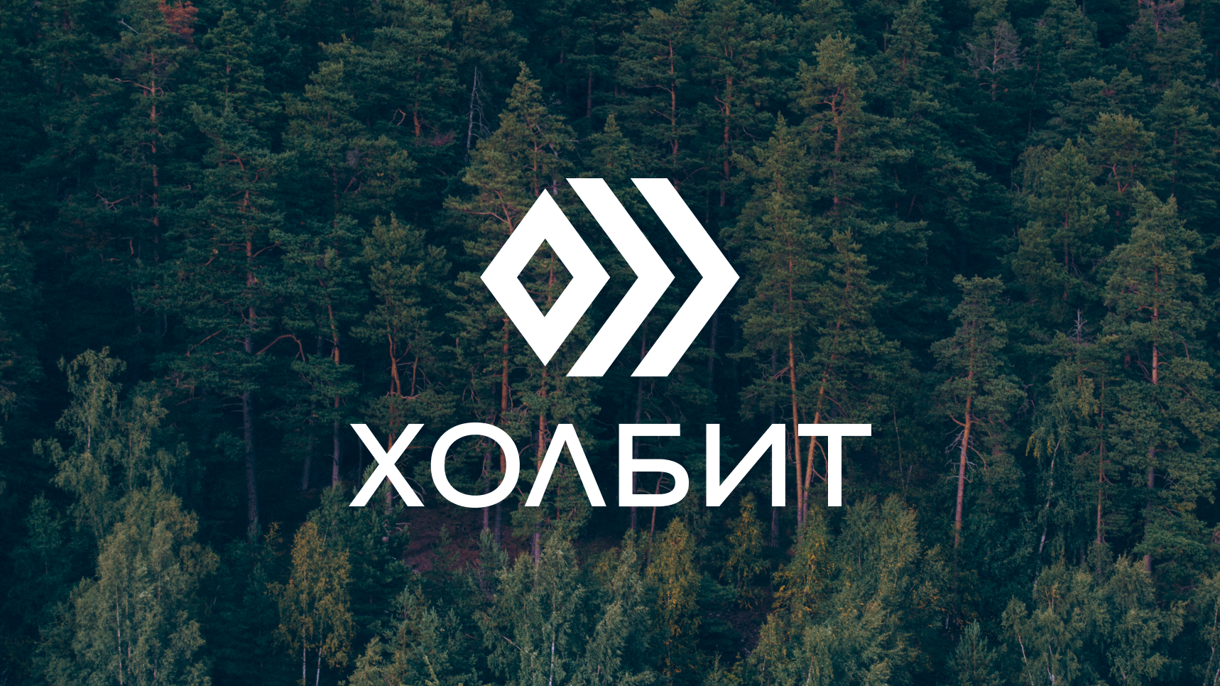 Дизайн логотипа для лесоперерабатывающей компании