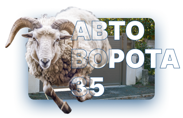 Автоворота35