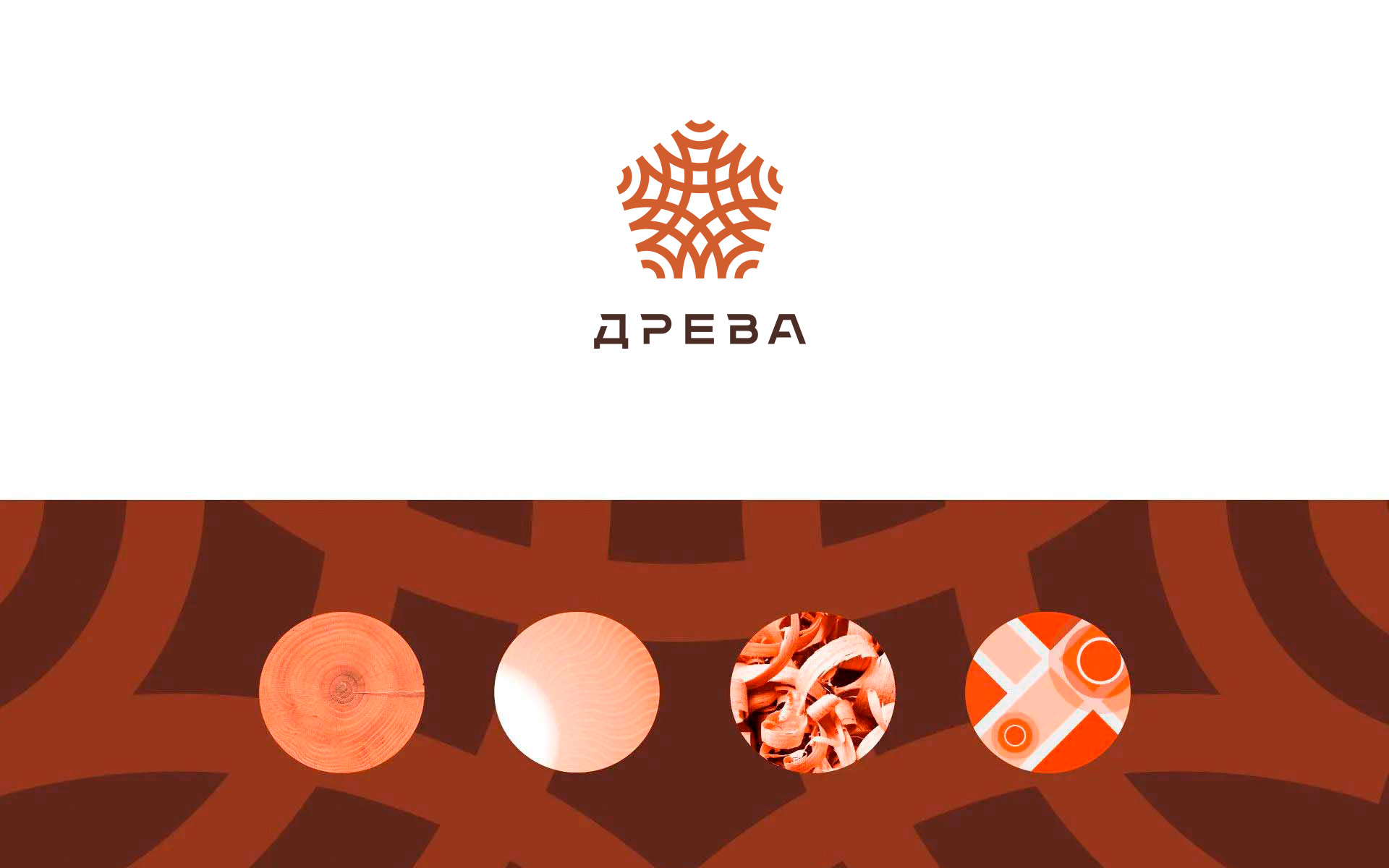 Изображение на всю ширину