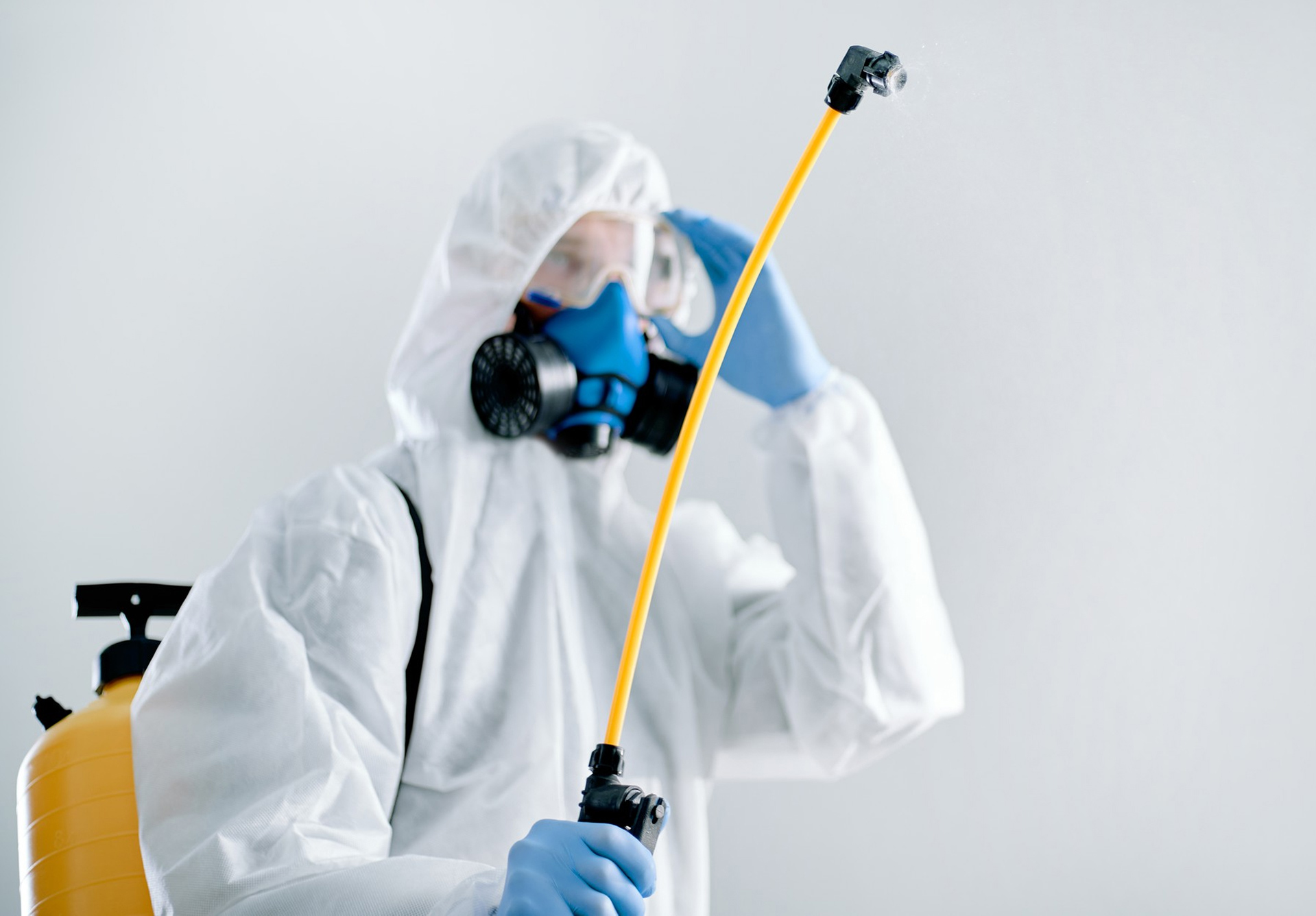 Изображение на всю ширину