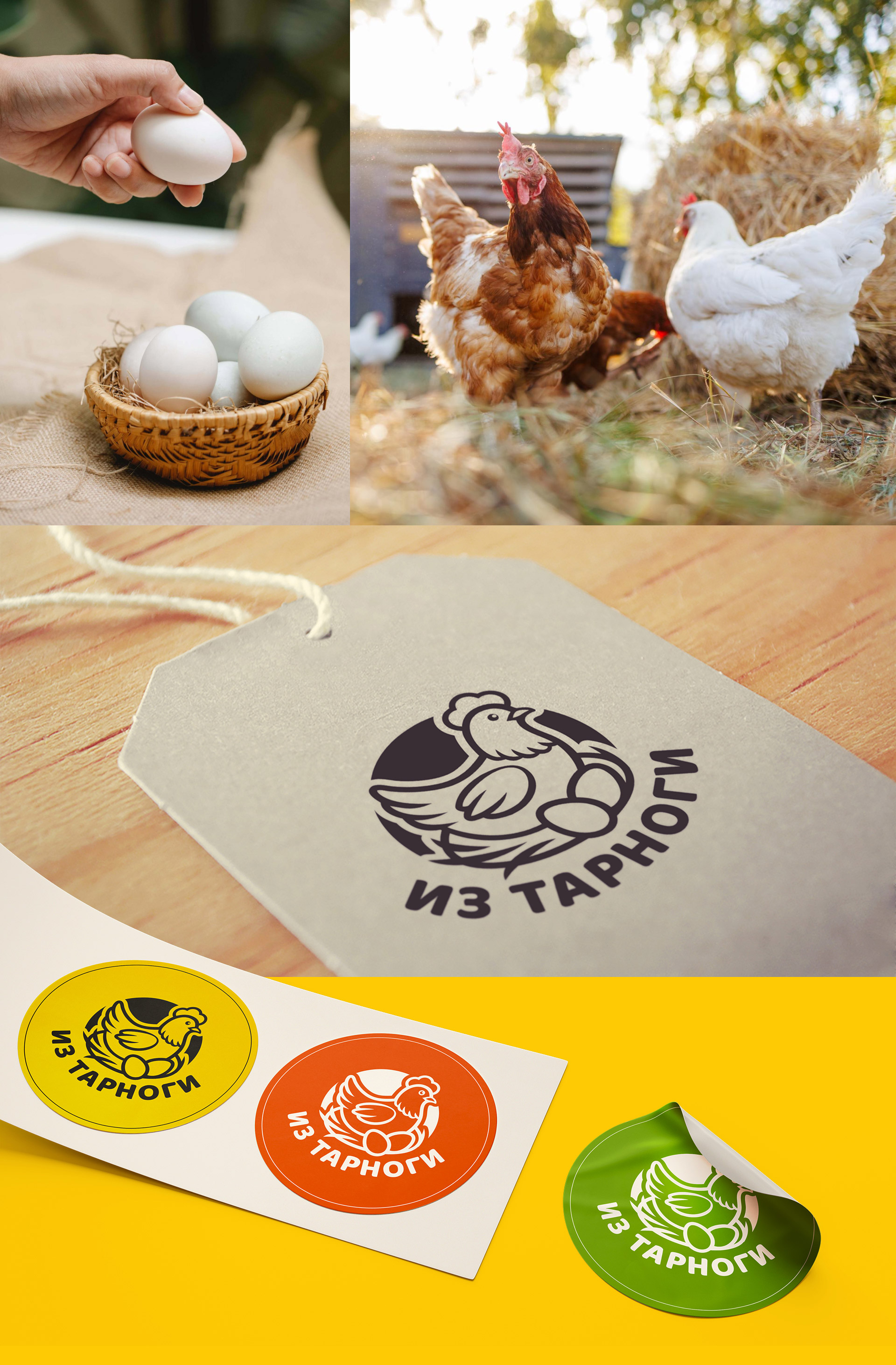 Изображение на всю ширину