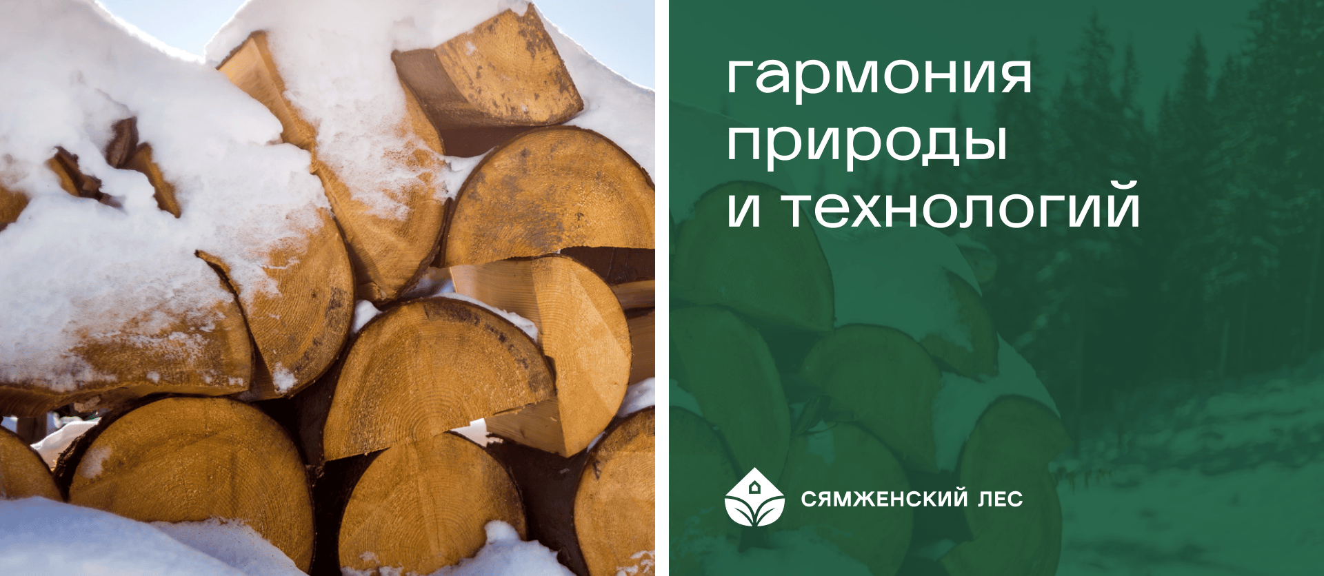 Изображение на всю ширину