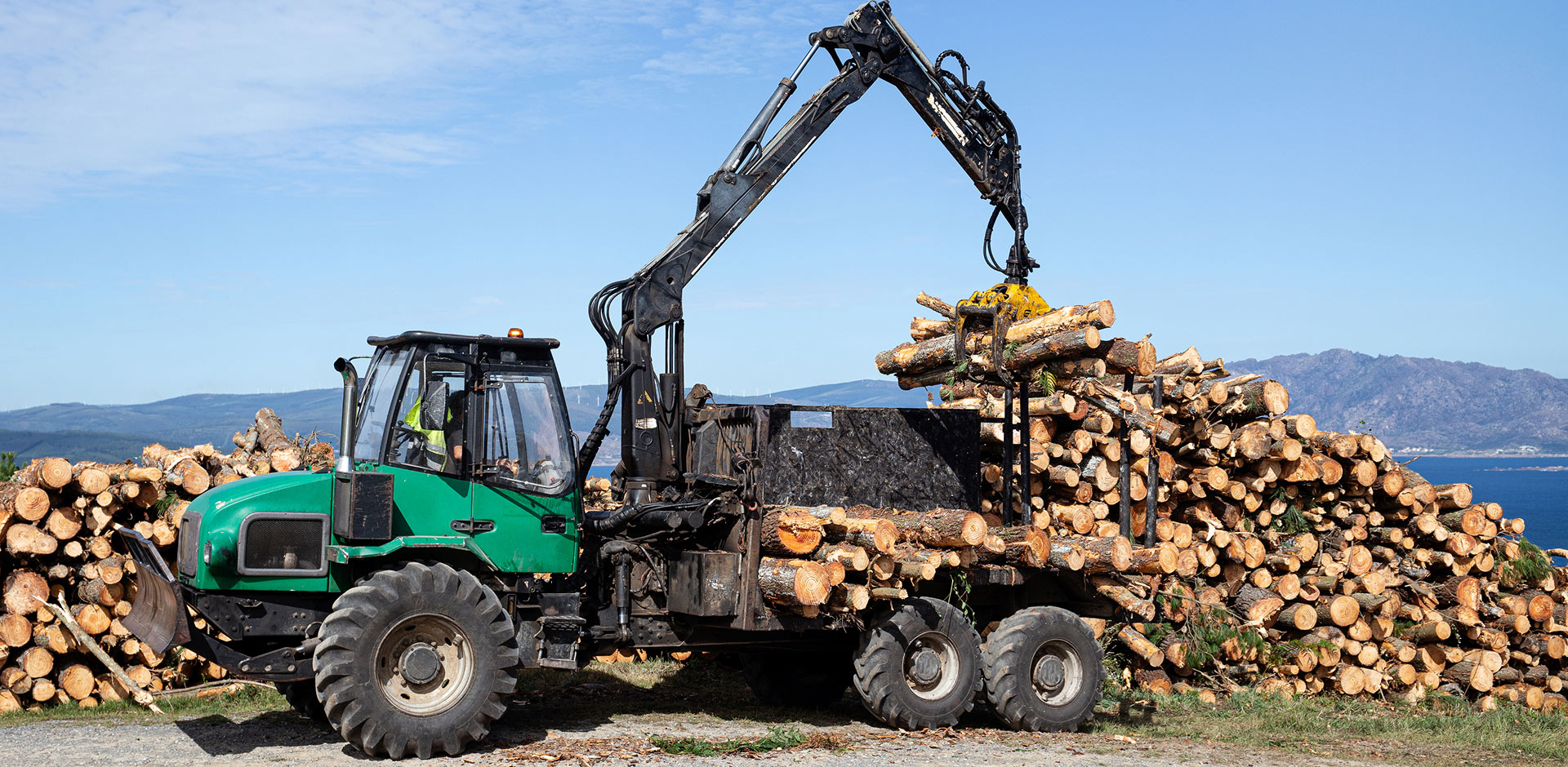 Изображение на всю ширину
