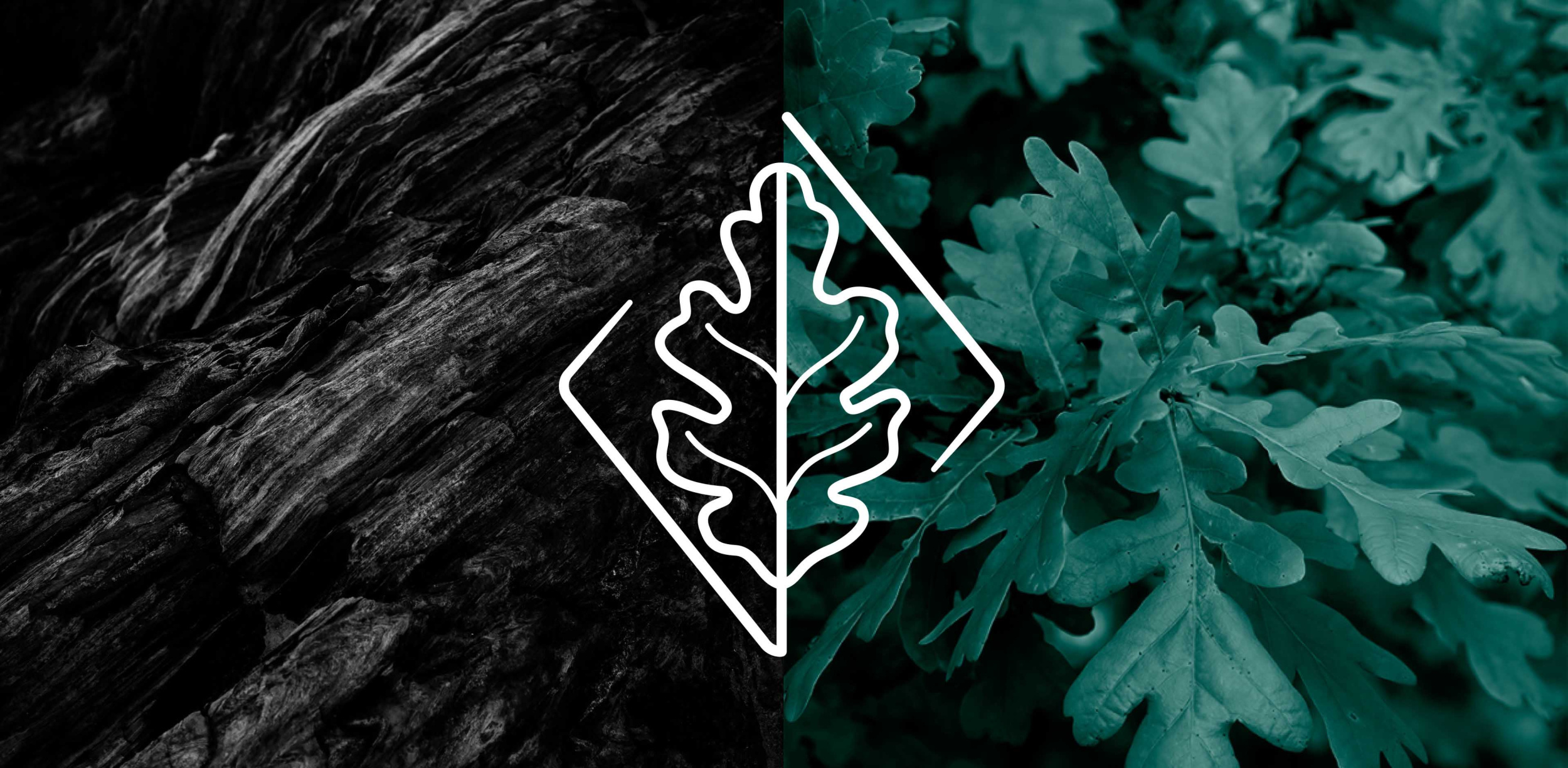 Изображение на всю ширину