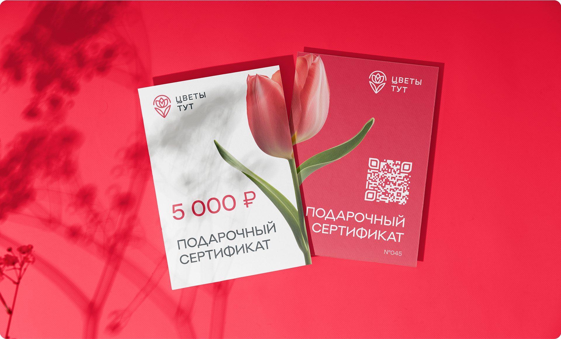 Изображение на всю ширину