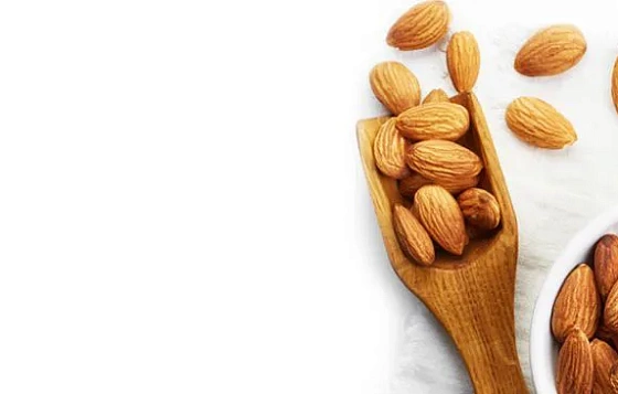 Дизайн сайта крупнейшего поставщика орехов и сухофруктов