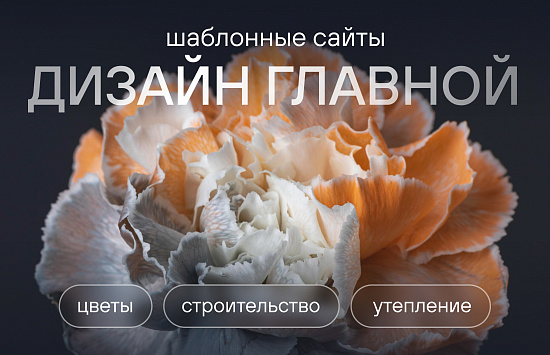 Индивидуальные главные для шаблонных сайтов 2