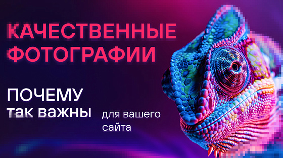 Почему качественные фотографии так важны для вашего сайта