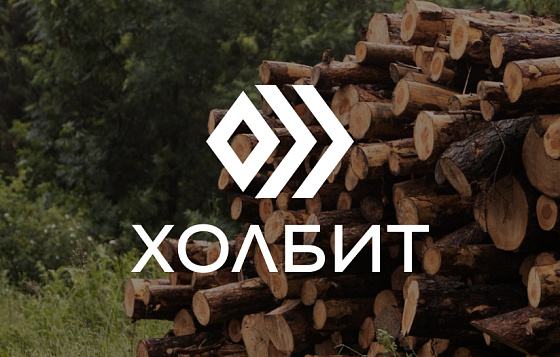 Дизайн логотипа для лесоперерабатывающей компании