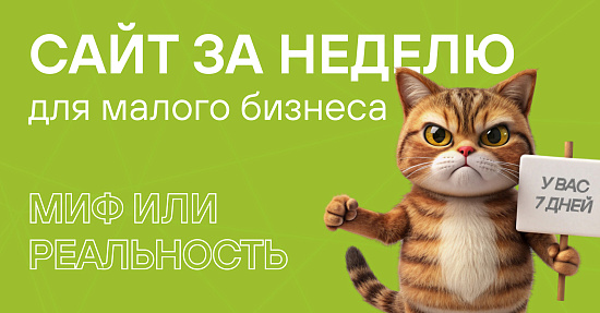 Сайт за неделю: миф или реальность для малого бизнеса Сайт за неделю: миф или реальность для малого бизнеса